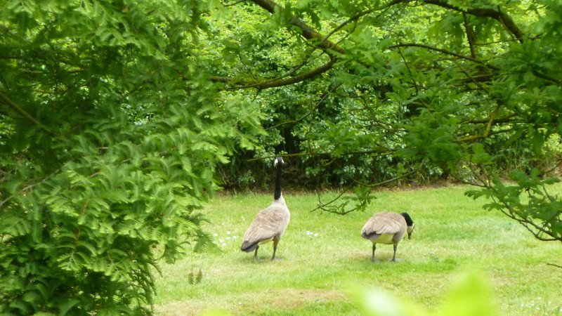 Maiwanderung 28.5.2015 