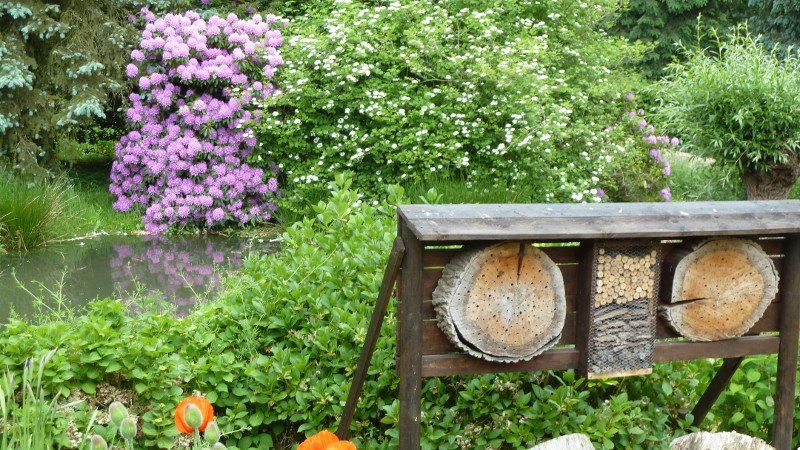 Maiwanderung 28.5.2015 