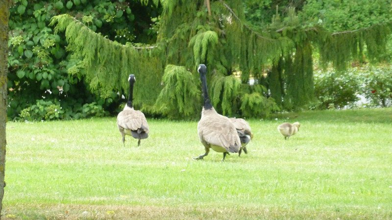 Maiwanderung 28.5.2015 