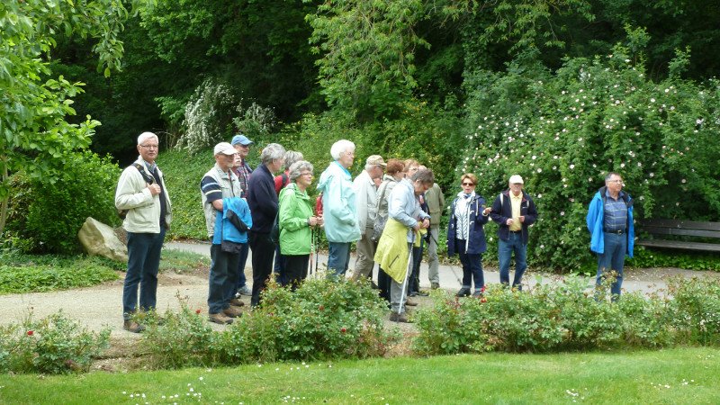 Maiwanderung 28.5.2015 