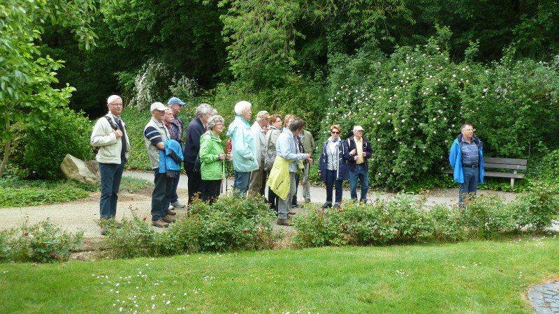 Maiwanderung 28.5.2015 