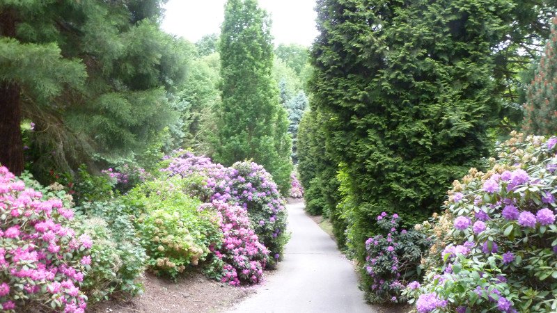 Maiwanderung 28.5.2015 