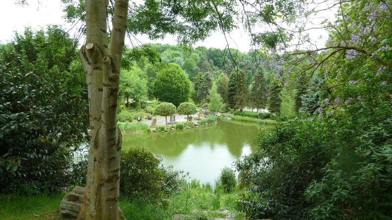 Maiwanderung 28.5.2015 