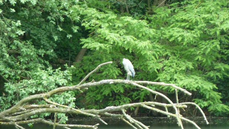 Maiwanderung 28.5.2015 