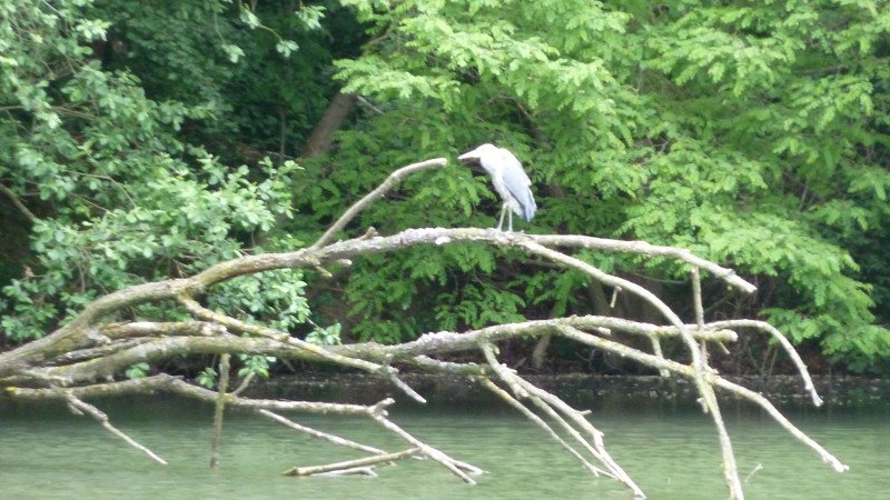 Maiwanderung 28.5.2015 