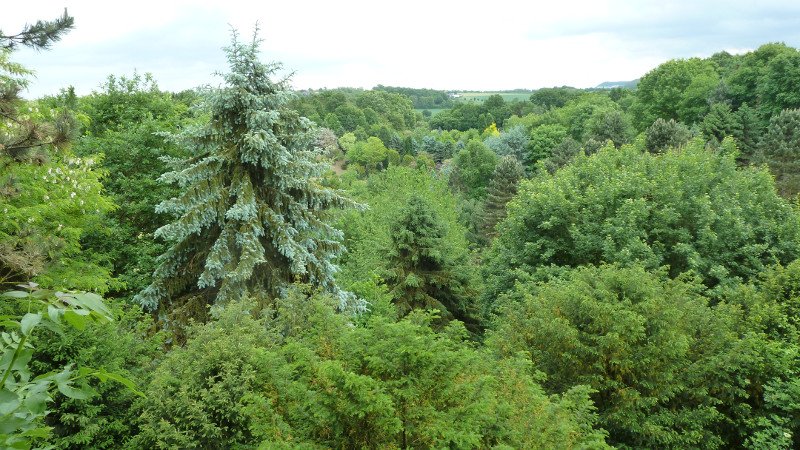 Maiwanderung 28.5.2015 