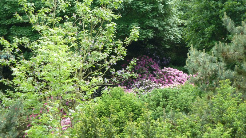 Maiwanderung 28.5.2015 