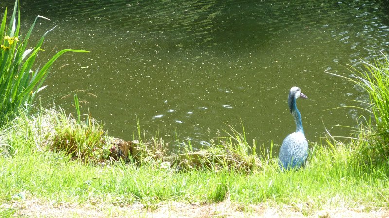 Maiwanderung 28.5.2015 