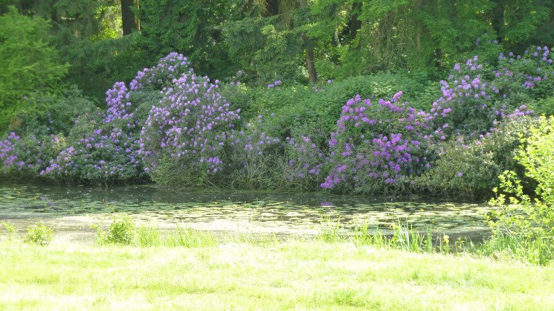 Maiwanderung 28.5.2015 