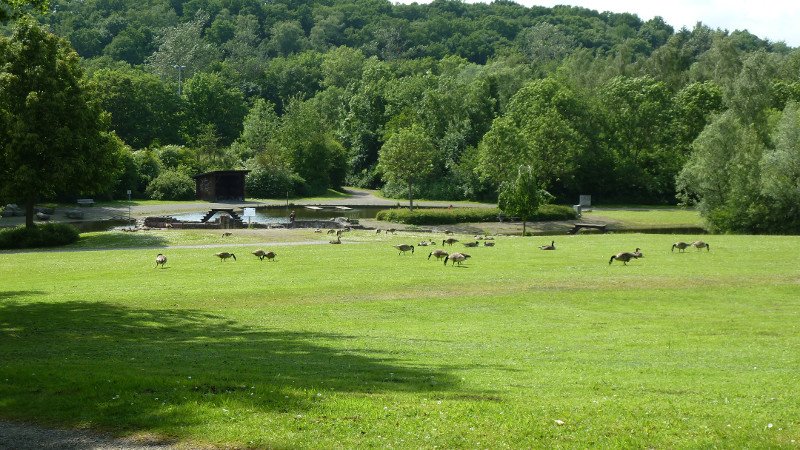 Maiwanderung 28.5.2015 