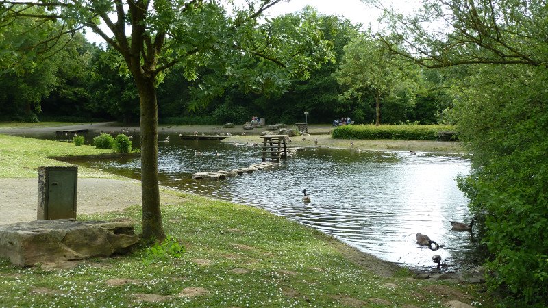 Maiwanderung 28.5.2015 