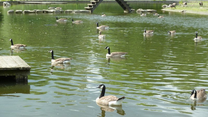 Maiwanderung 28.5.2015 