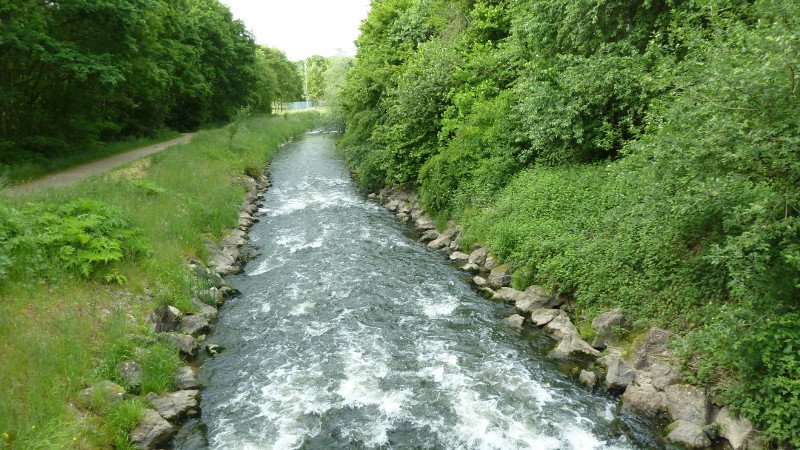 Maiwanderung 28.5.2015 